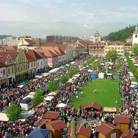 Apartman Se Zahradkou V Krasne Ctvrti Berouna Beroun (Central Bohemian)